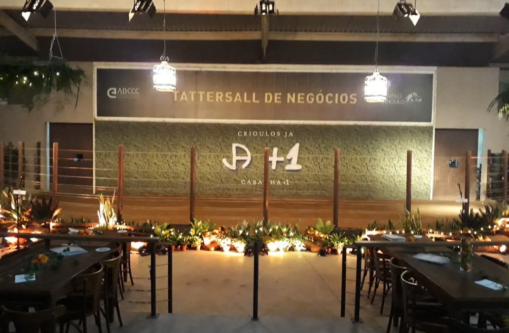 O backdrop e sua utilização para cenários e palcos 